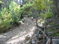 Checking the trail ahead.